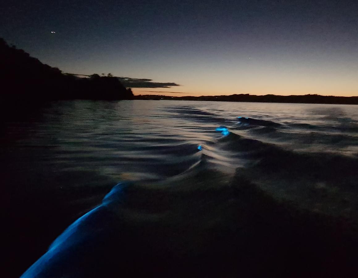 The Beach House Kawau Island Buitenkant foto